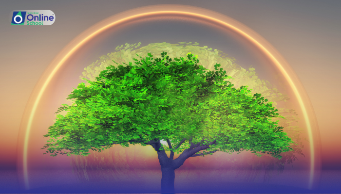 Lesson 02: Plant Respiration and Photosynthesis